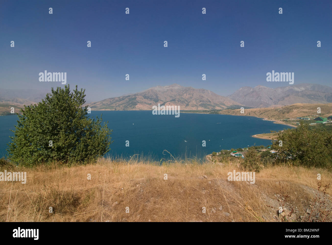 Shakunage hi-res stock photography and images - Alamy