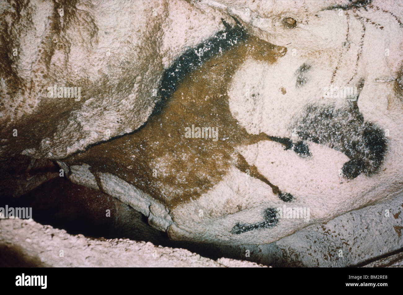Horse - Depth of Axial Corridor, Prehistoric Art, France, Lascaux Caves Stock Photo