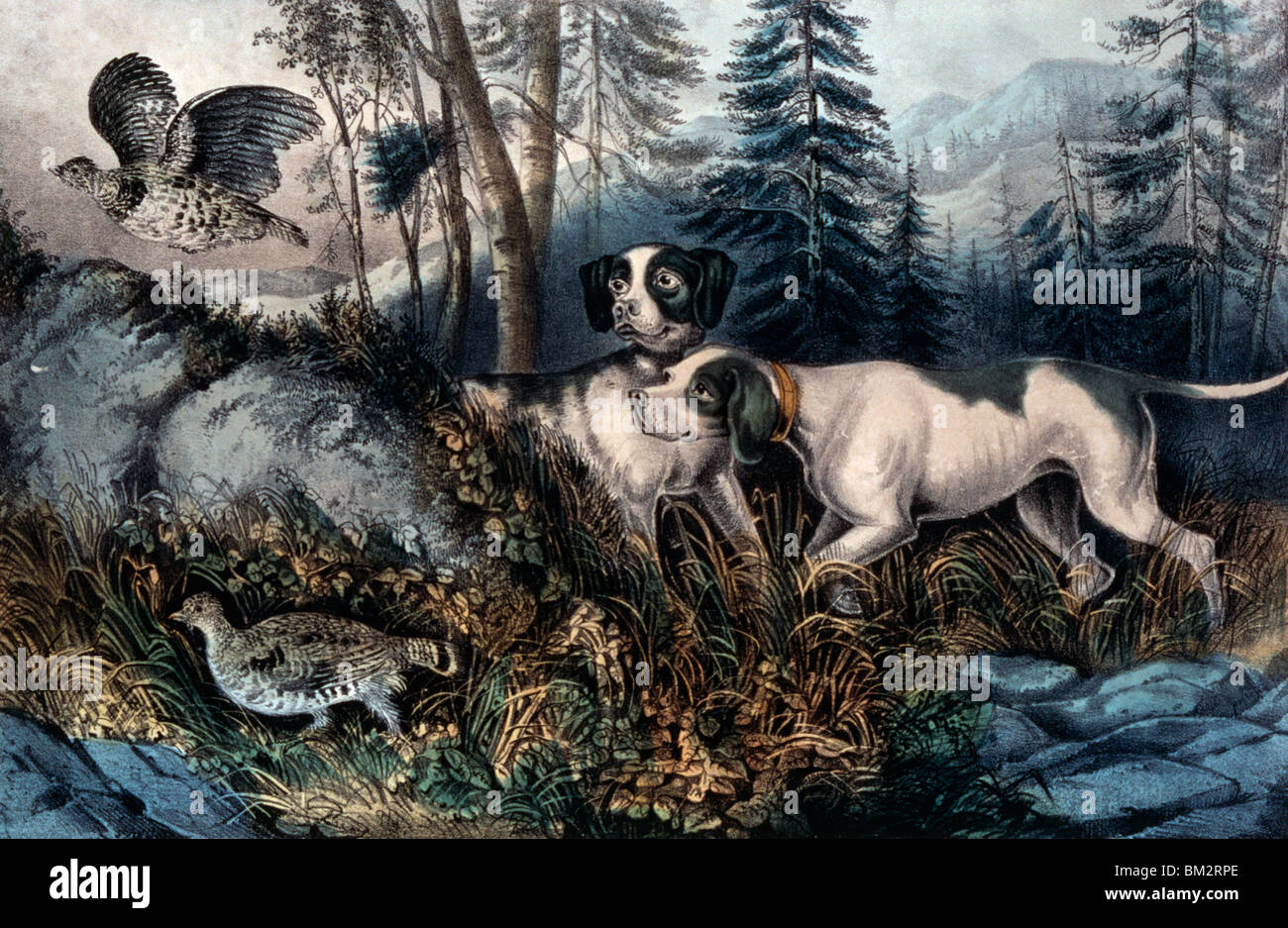 Partridge Shooting, Currier and Ives, color lithograph, 1857-1907, USA, Washington, D.C., Library of Congress Stock Photo