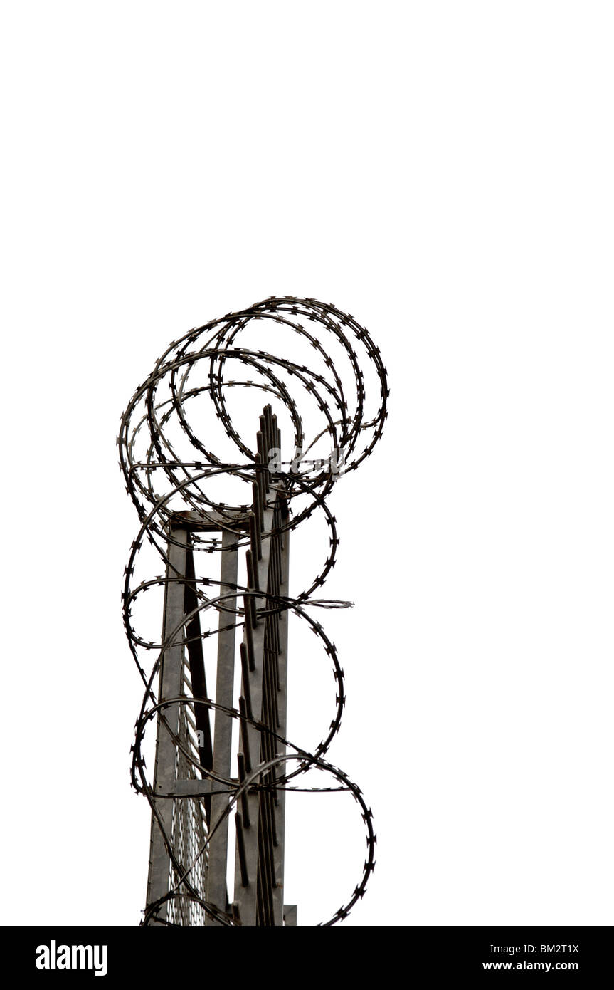 Razor wire on security fence against white background Stock Photo