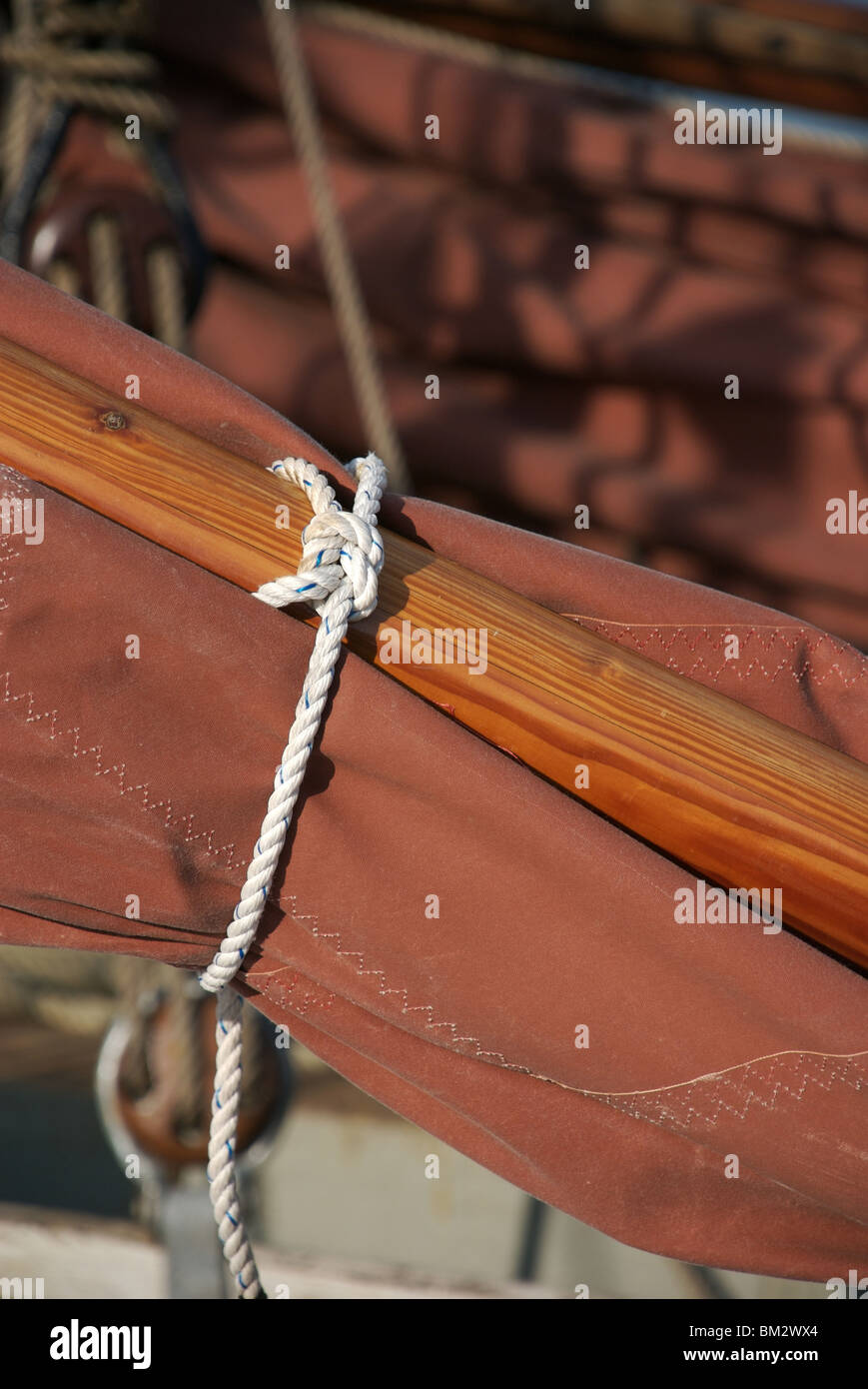 Detail of terracotta coloured canvas sail, ships rigging and rope knots, Falmouth Week 2009, Cornwall, UK Stock Photo