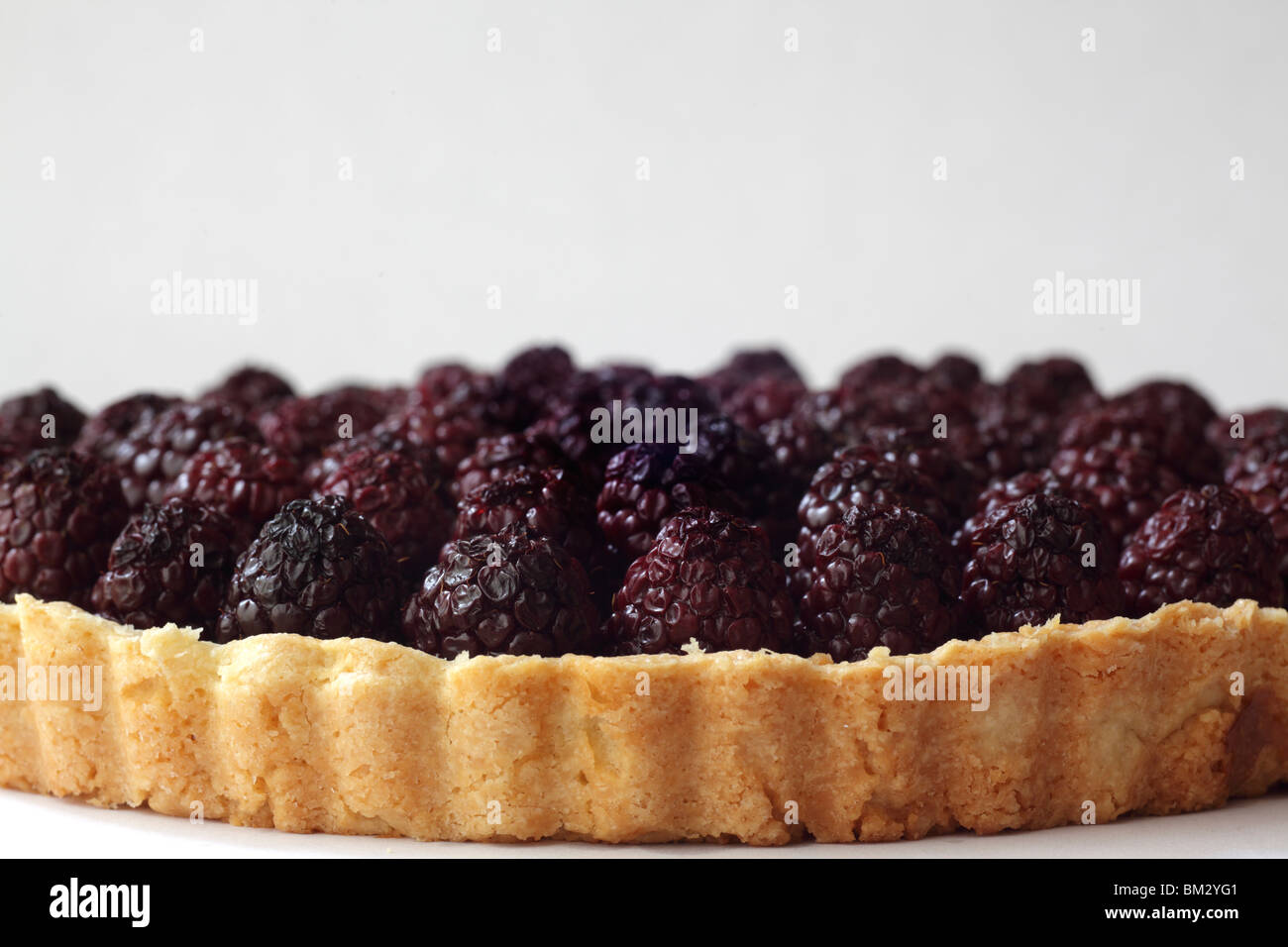 Blackberry tart Stock Photo