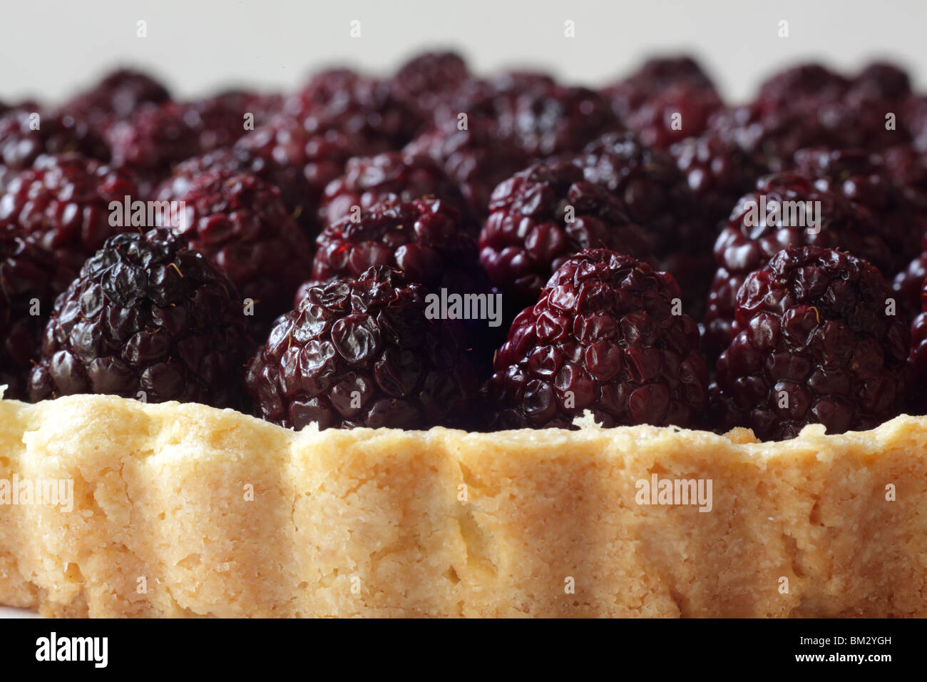 Blackberry tart Stock Photo
