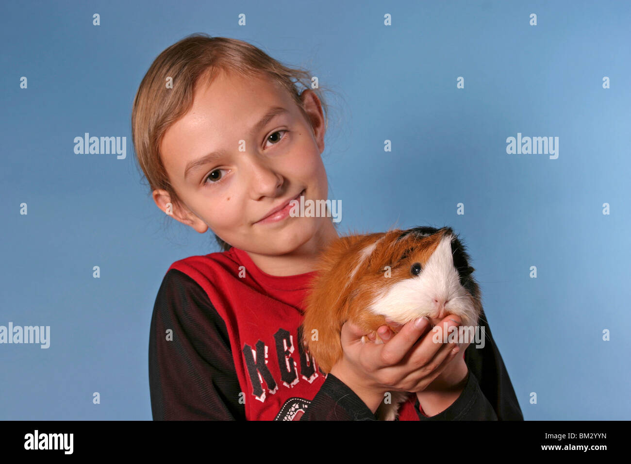 Meerschwein mit Kind / guinea pig & young girl Stock Photo
