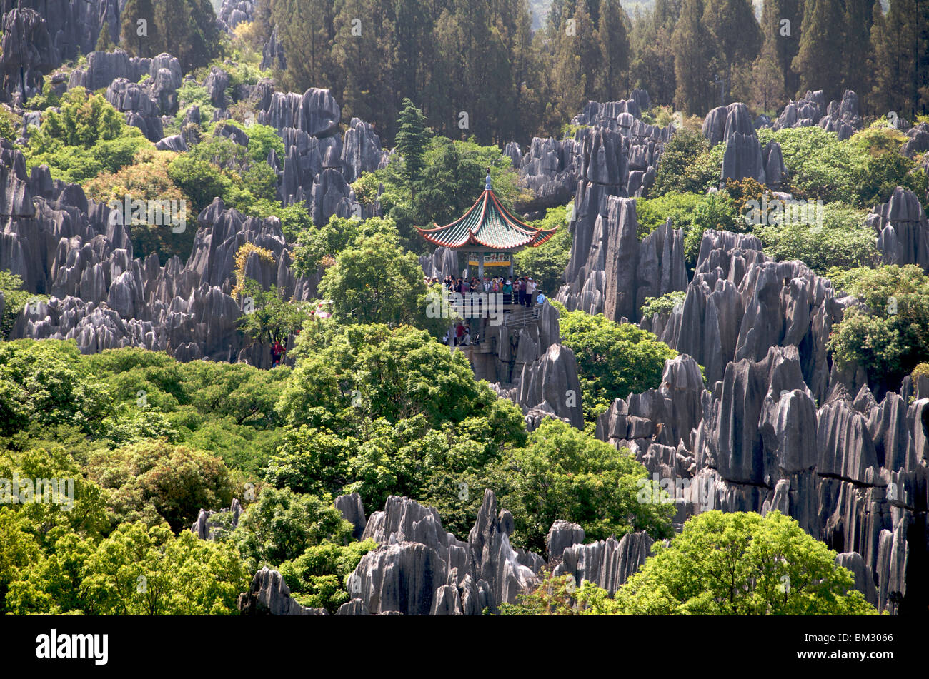 Chinese Pagoda and ÓÓÓÓ Rock formation Stone Forest Yunnan China Stock Photo