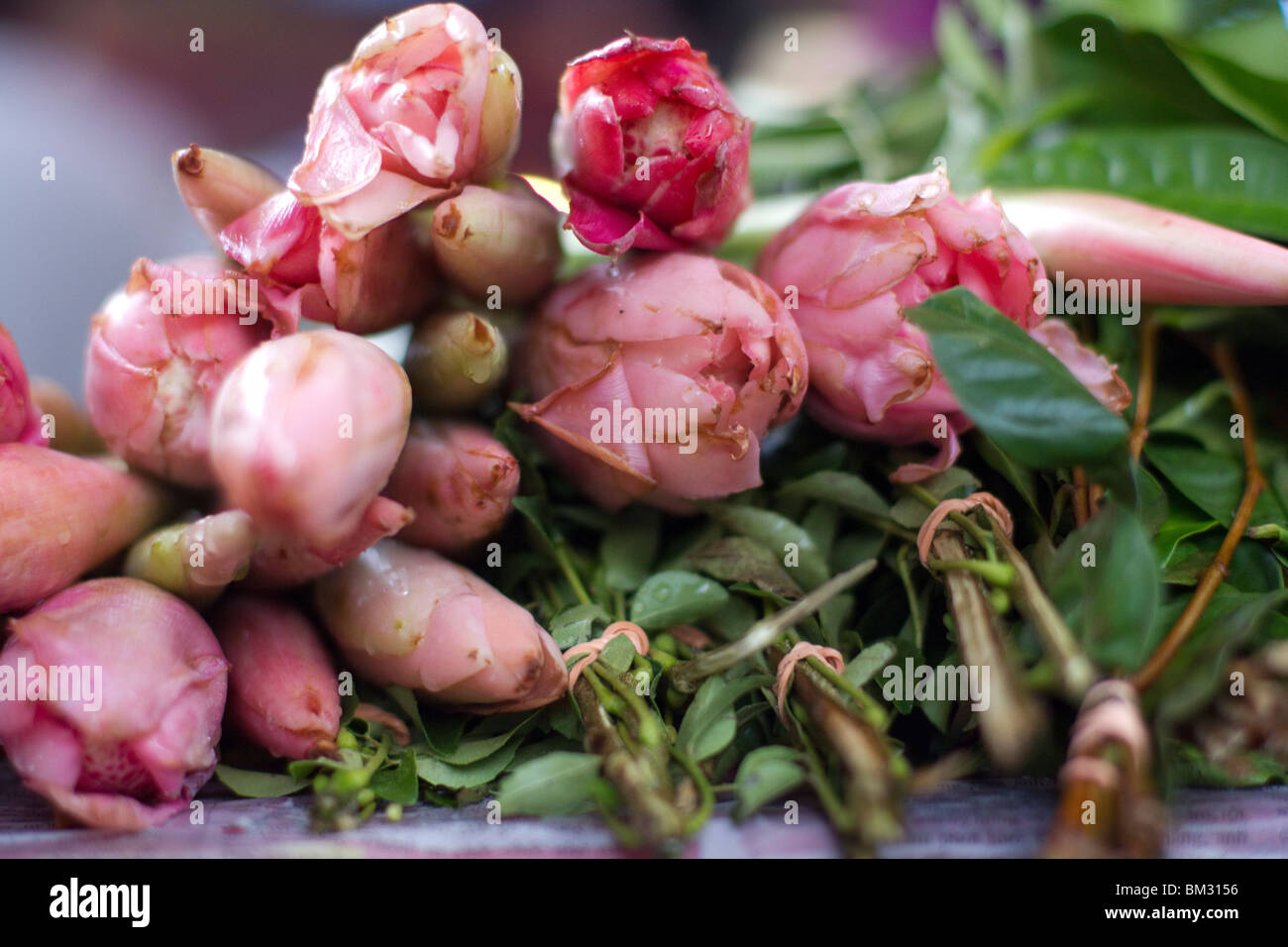 Ginger flowers at night market in malaysia Stock Photo Alamy
