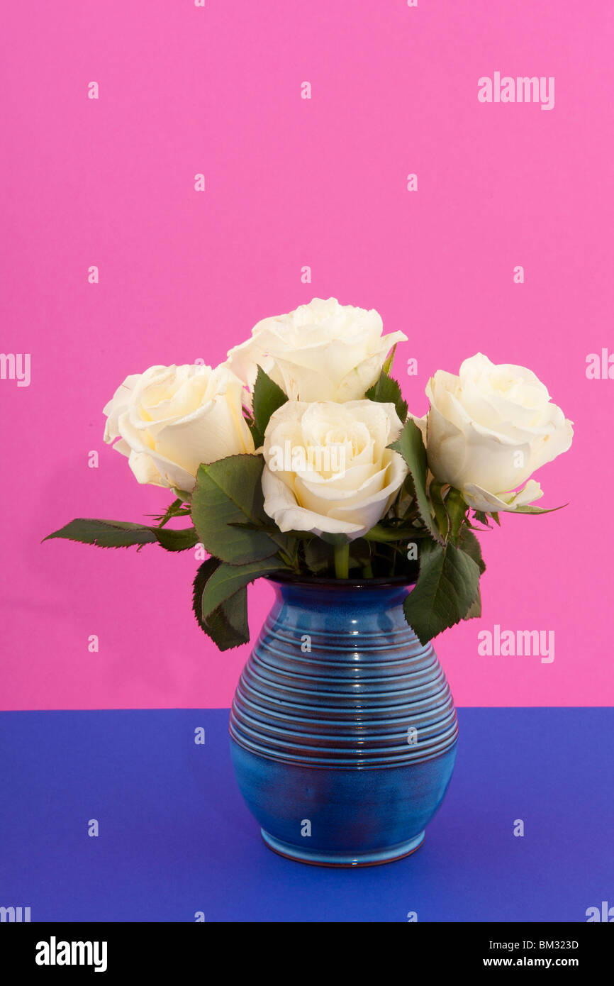 bouquet white roses in vase on modern pink background Stock Photo - Alamy