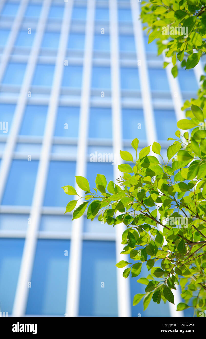 Office and Green Leaves Stock Photo
