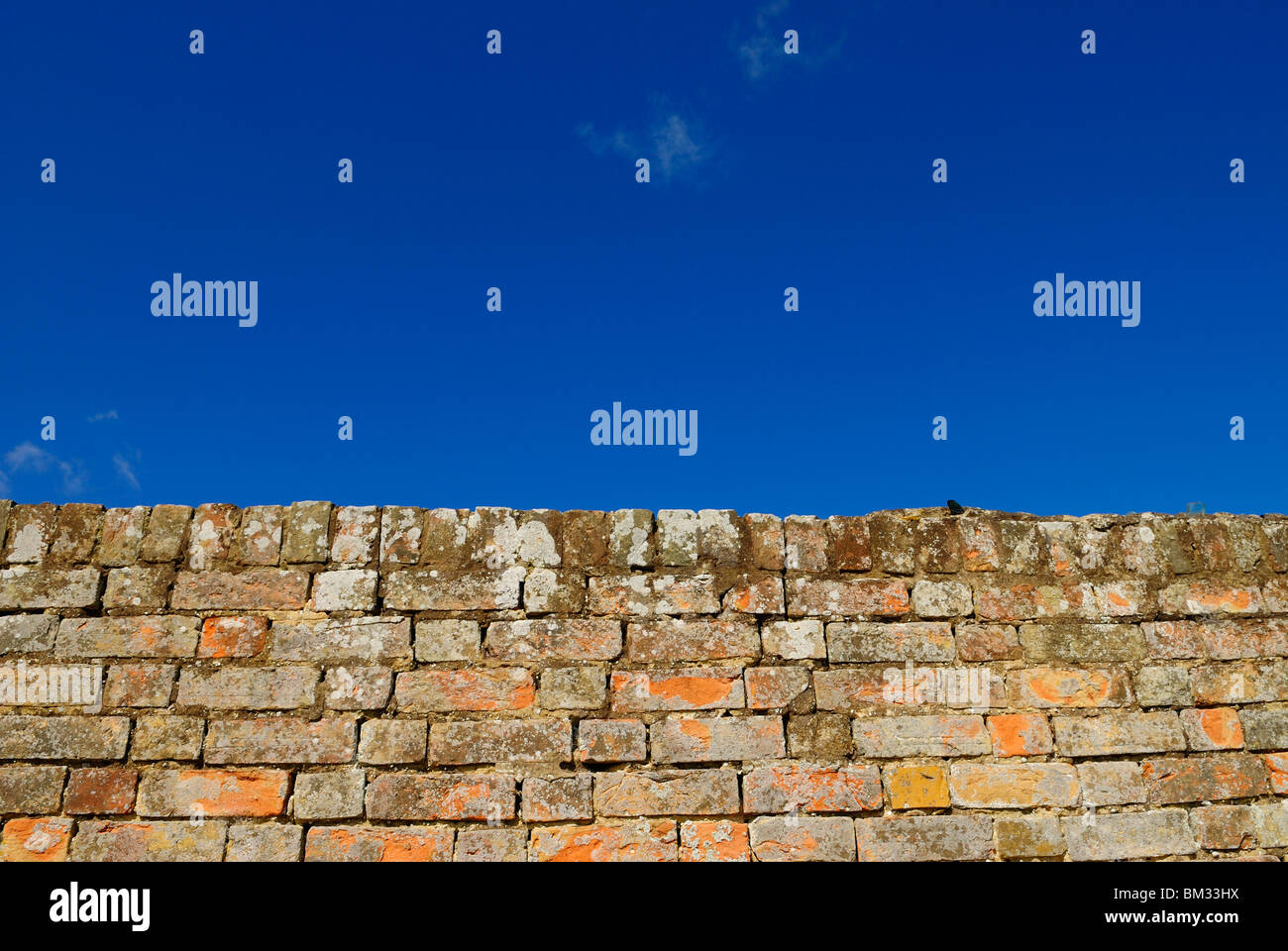 Old crumbling brick wall bricks hi-res stock photography and images - Alamy