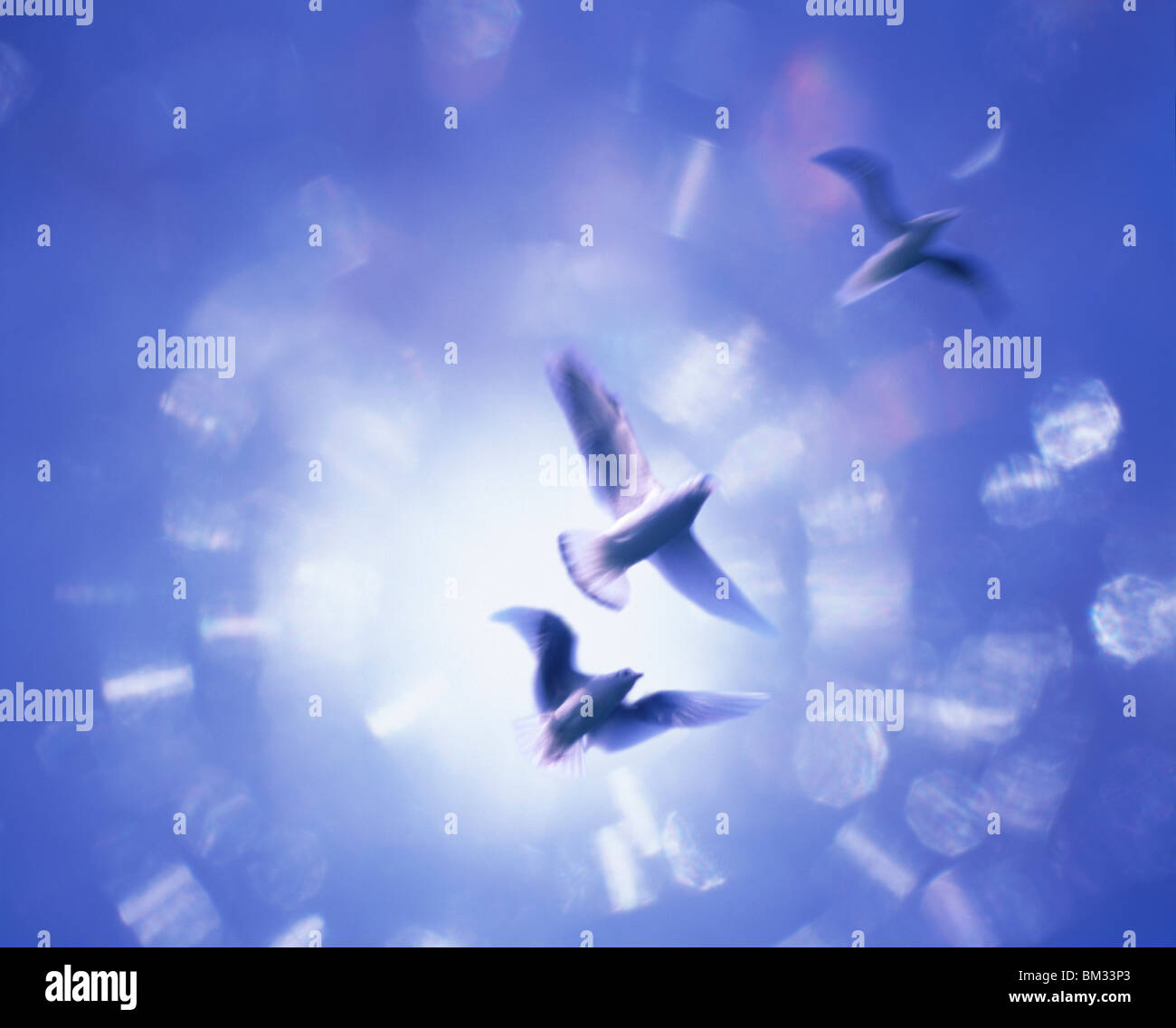 Three birds flying in the air, blue background, computer graphic, blurred motion Stock Photo