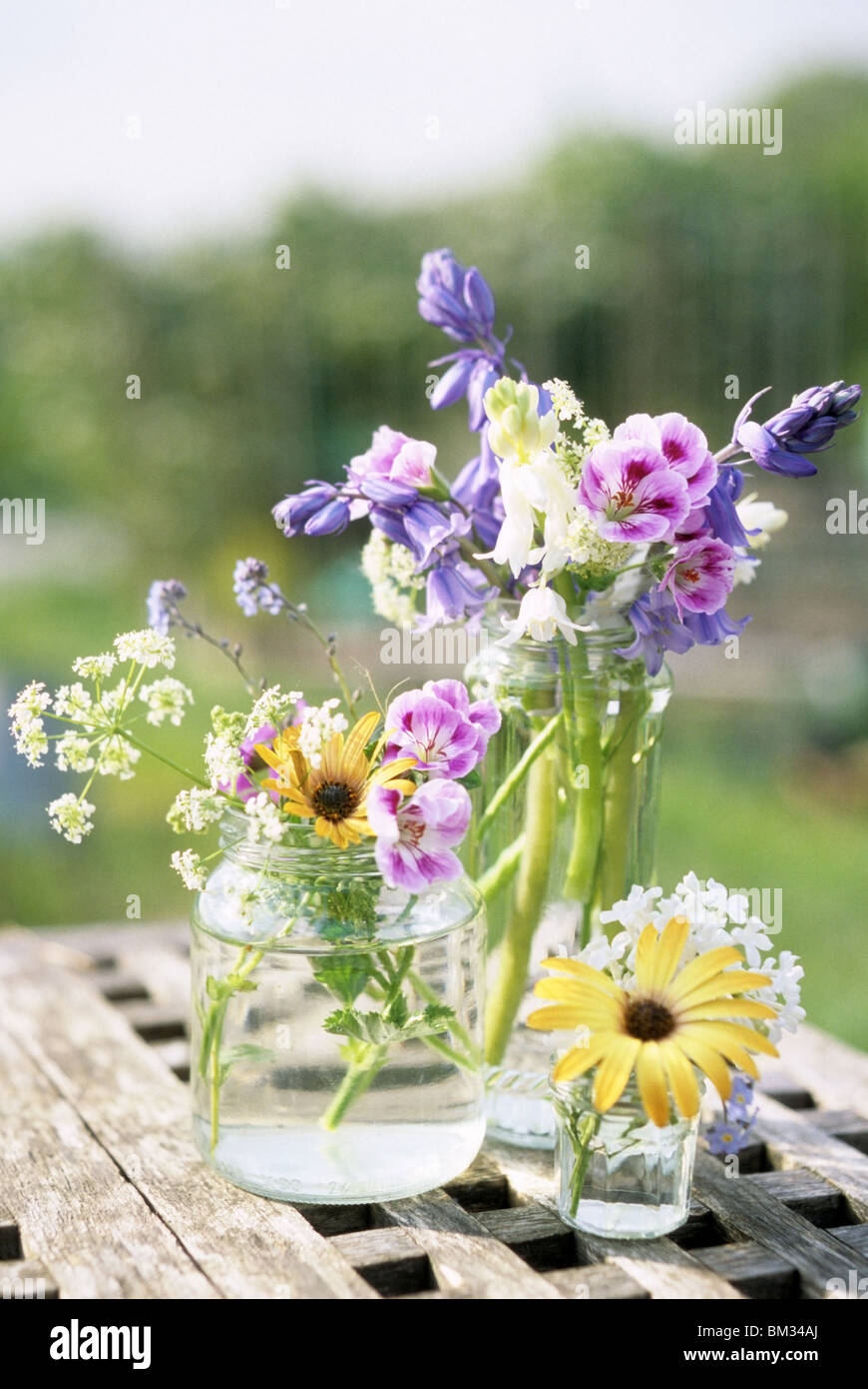 English wildflowers hi-res stock photography and images - Alamy