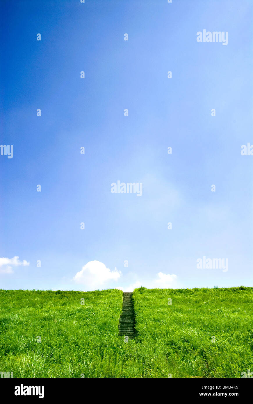 Footpath in field, copy space, Osaka prefecture, Japan Stock Photo - Alamy