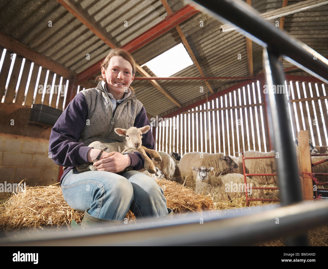 Female Farmer Holding Young Lamb Stock Photo