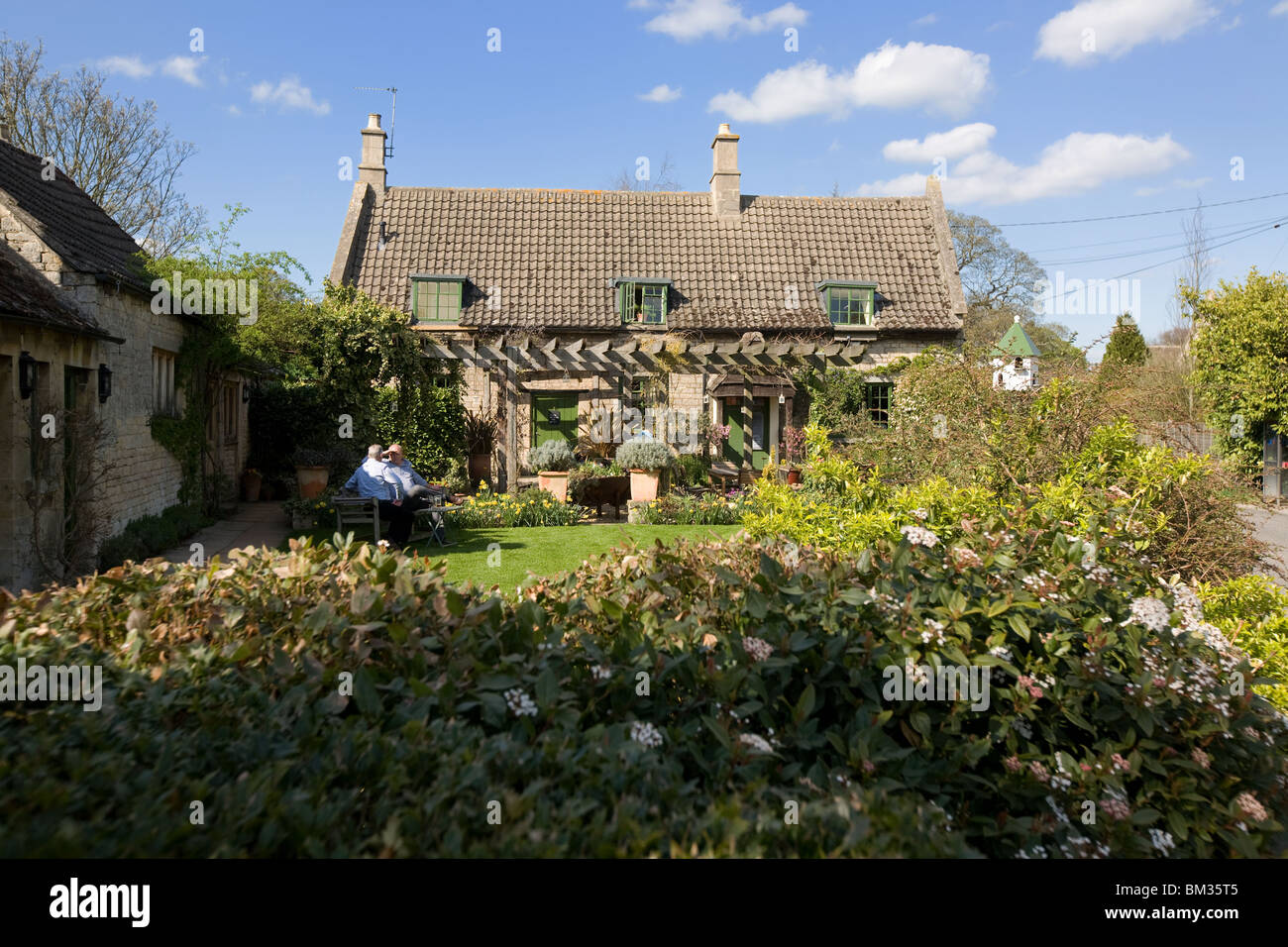 Olive branch clipsham hires stock photography and images Alamy