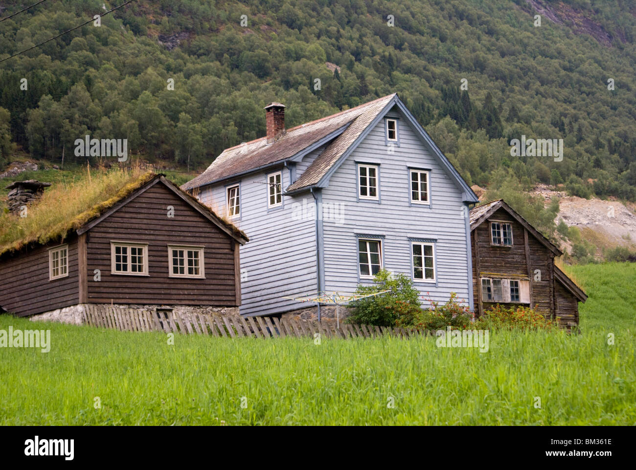 Typical timber houses in Norway with 'green' roofs Stock Photo Alamy