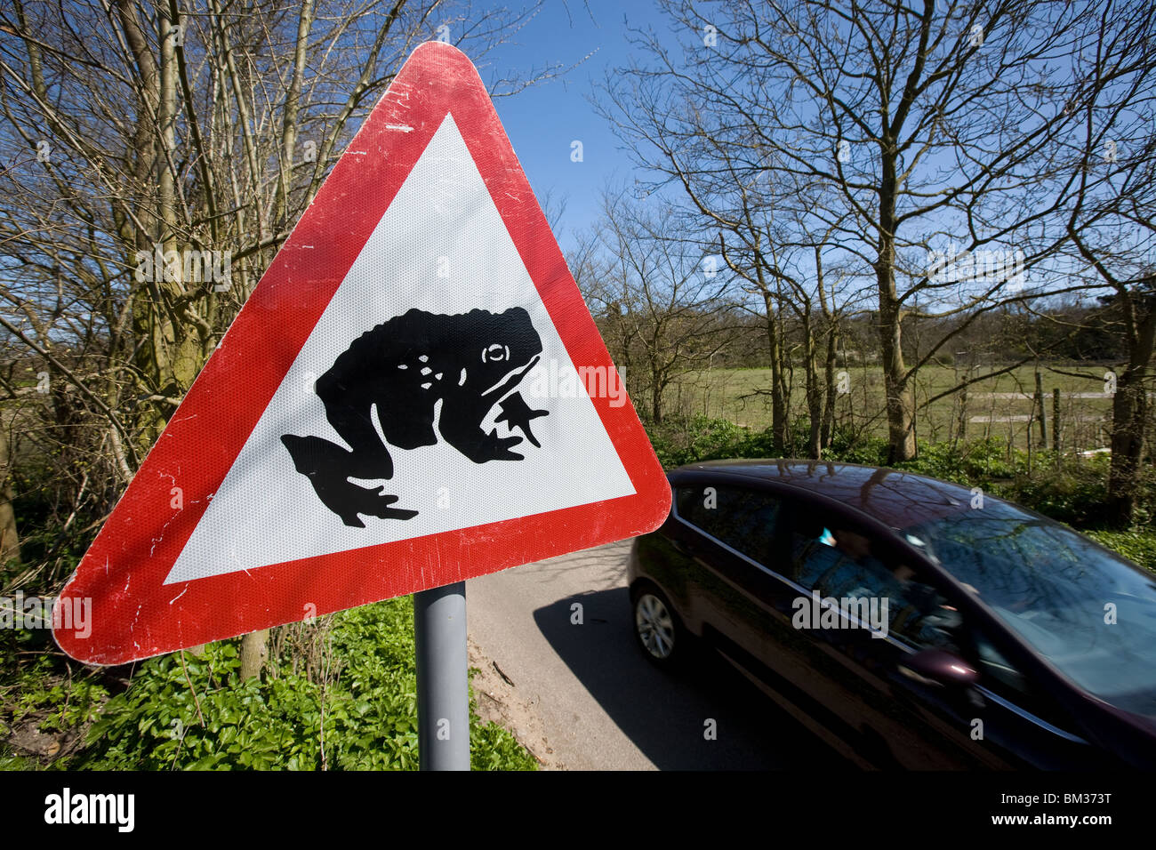 Beware of the frog sign Stock Photo