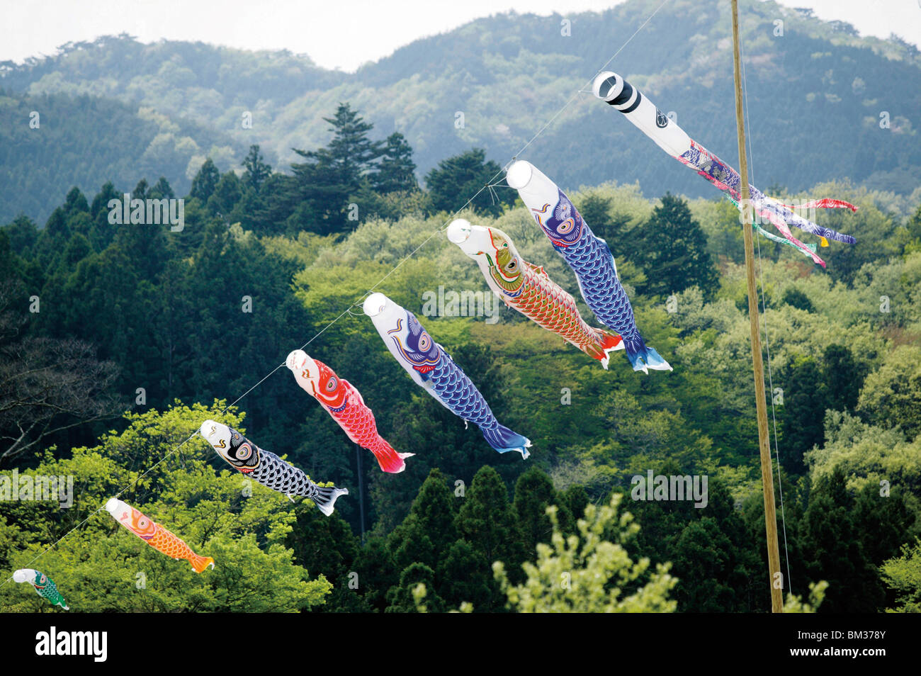 Koinobori (Carp streamers), Japan Stock Photo Alamy