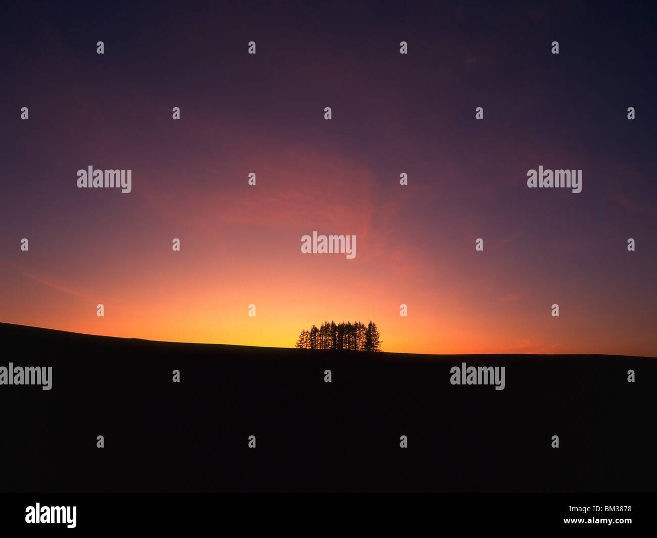Trees on horizon hi-res stock photography and images - Alamy