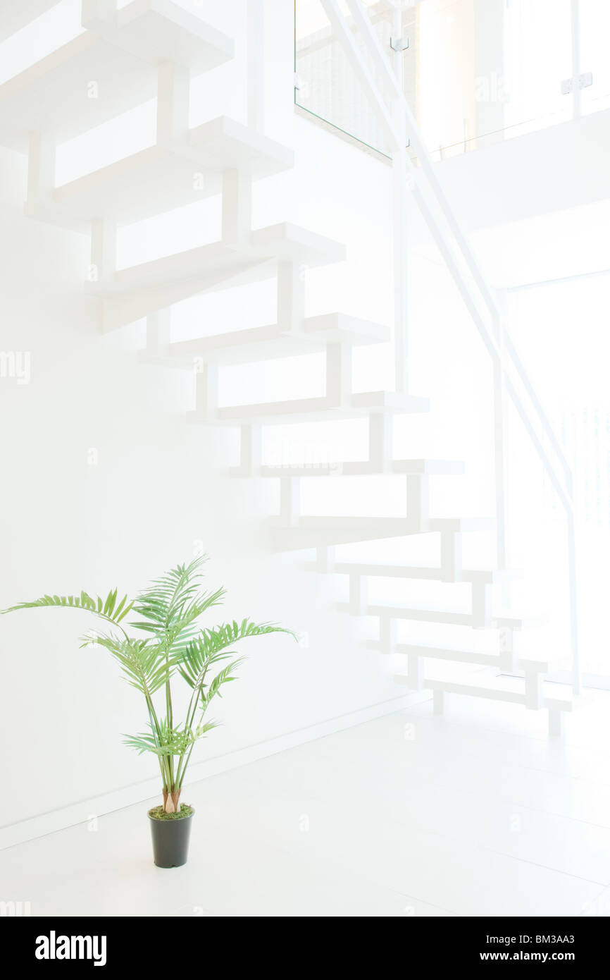 Potted plant under staircase Stock Photo Alamy