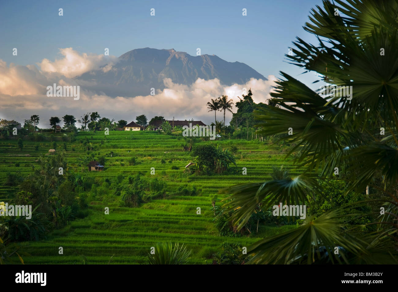 Gunung Agung vulcano, Bali Indonesia with sawa's in foreground Stock Photo