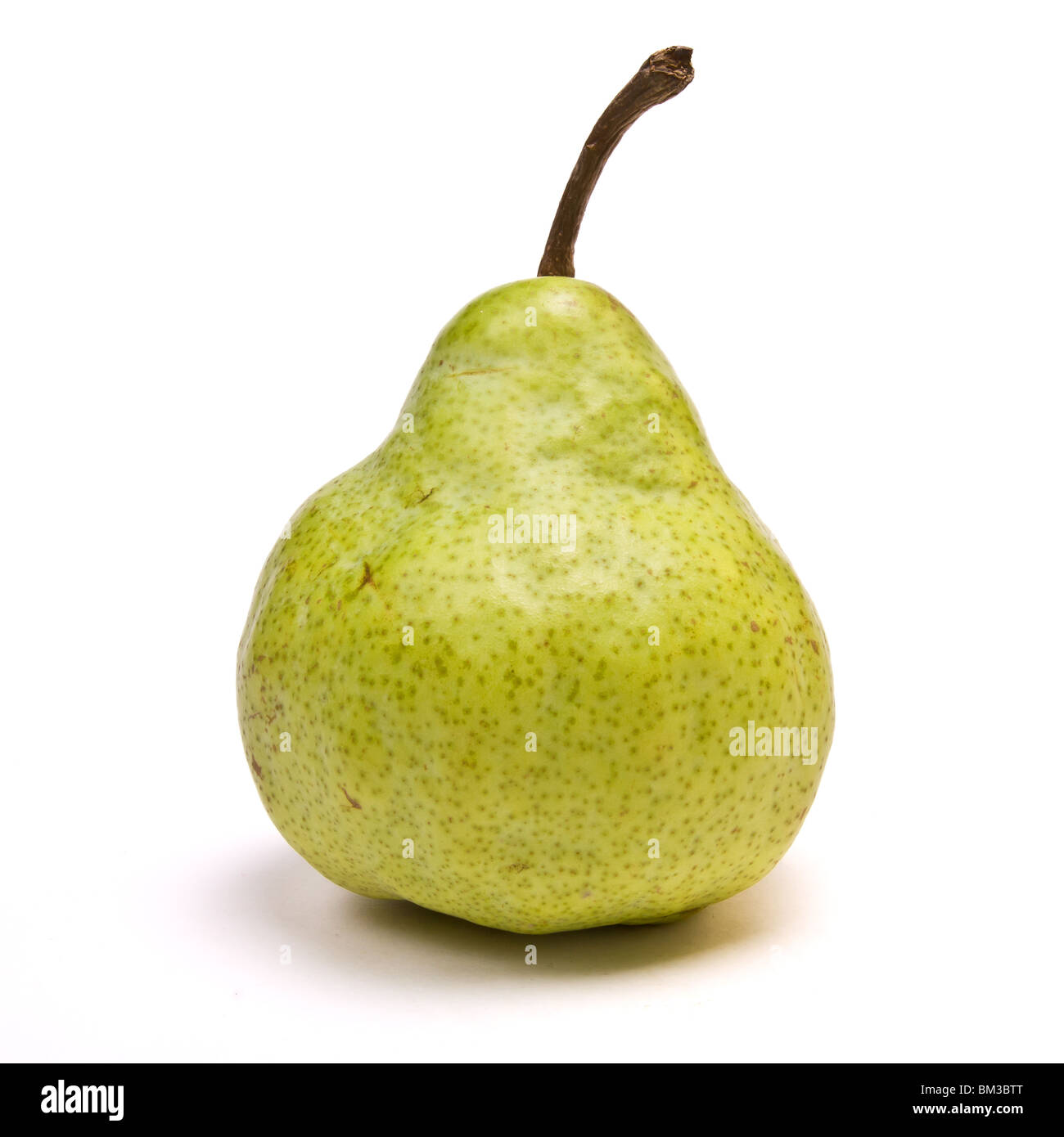 Packham Pear from low perspective isolated against white background. Stock Photo