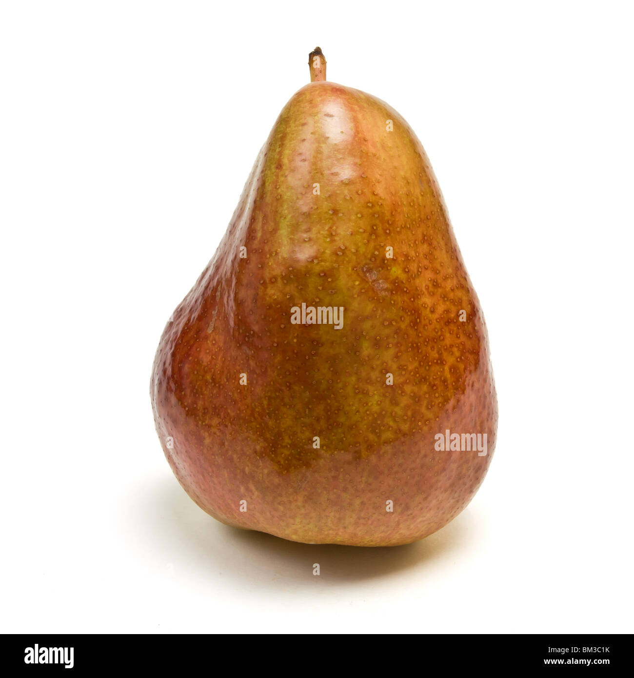 Red Bartlett Pear from low perspective isolated against white background. Stock Photo