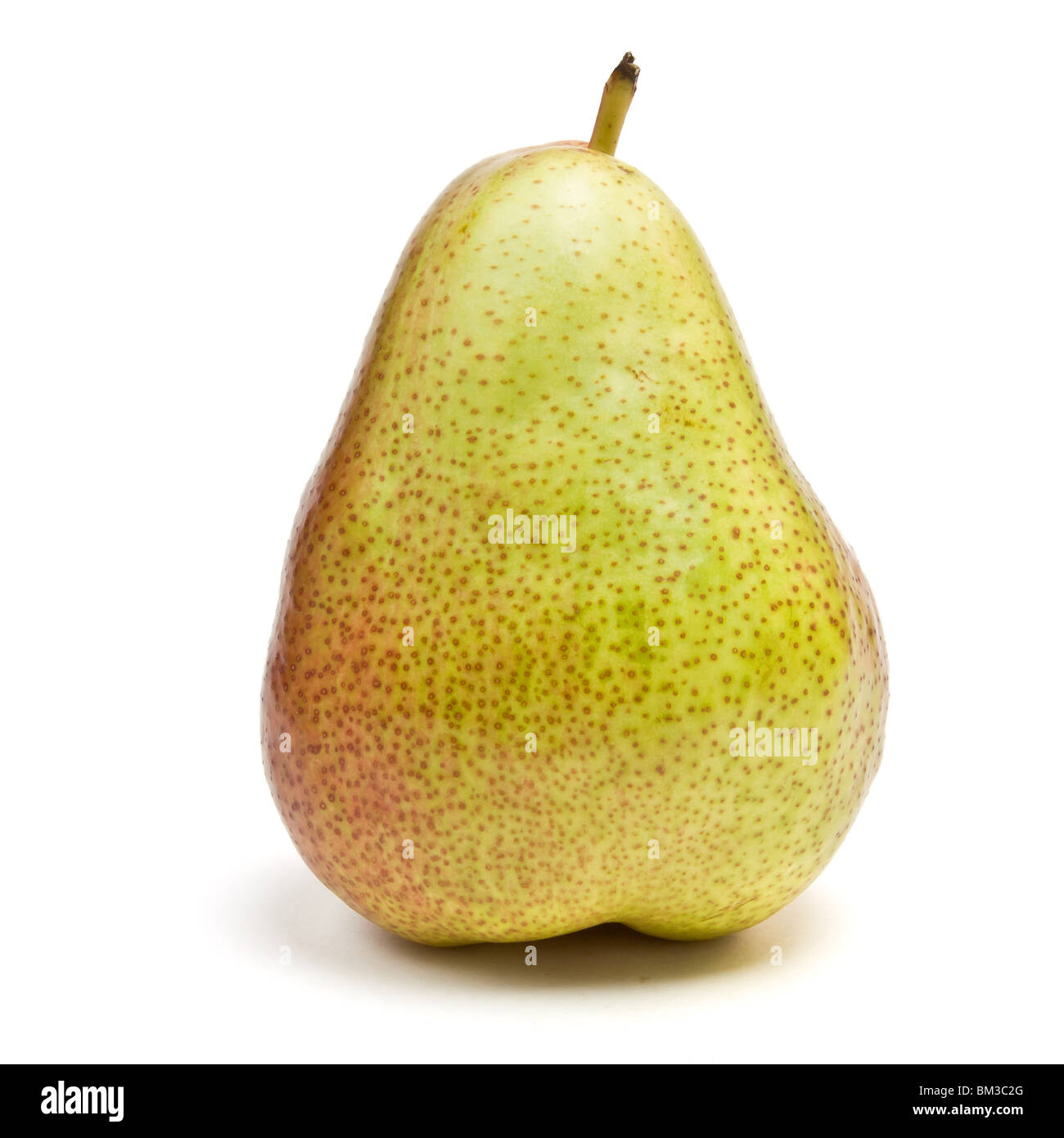 Red Bartlett Pear from low perspective isolated against white background. Stock Photo