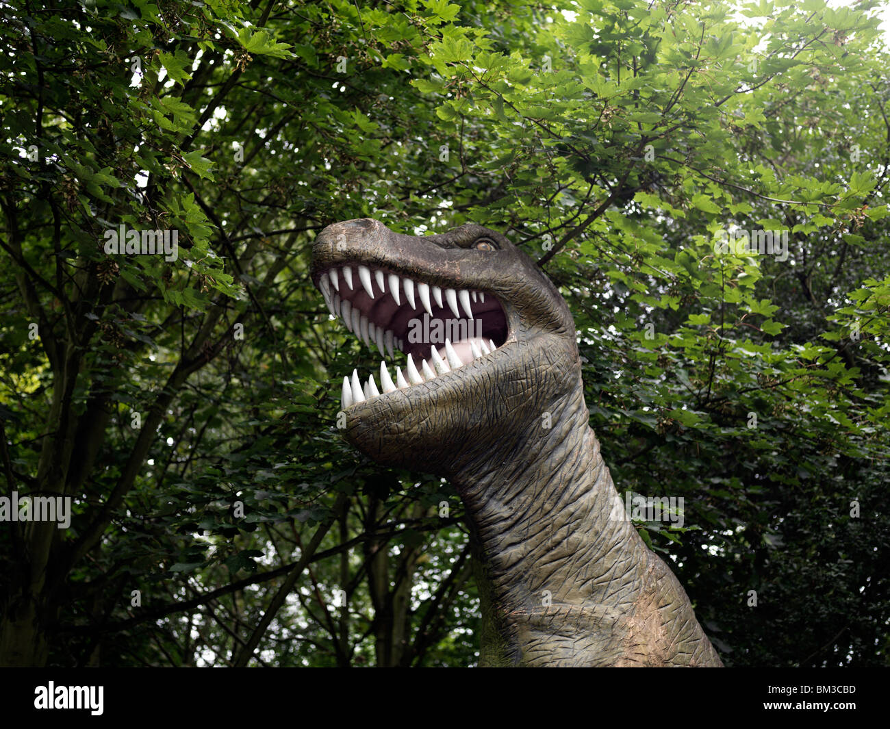 Trex Tyrannosaurus Rex Model Dinosaur Stock Photo - Alamy