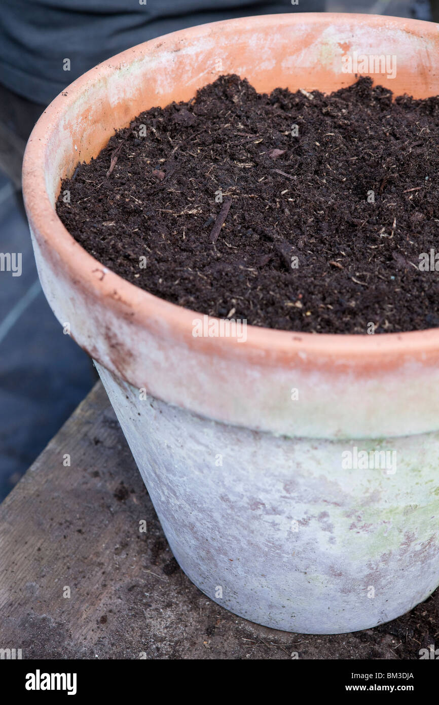 Terracotta pot with fresh compost ready for planting into Stock Photo