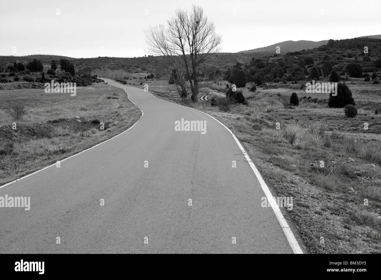 Lonely tree black white hi-res stock photography and images - Alamy