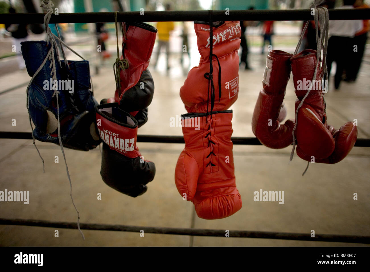 Boxing gloves hang in a boxing ring at Diaz Miron gym in Mexico City, August 18, 2009. Stock Photo
