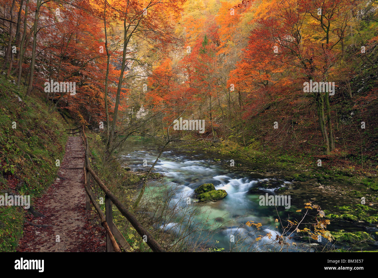 View from the path along Vintgar Gorge near Bled in Gorenjska. Slovenia Stock Photo