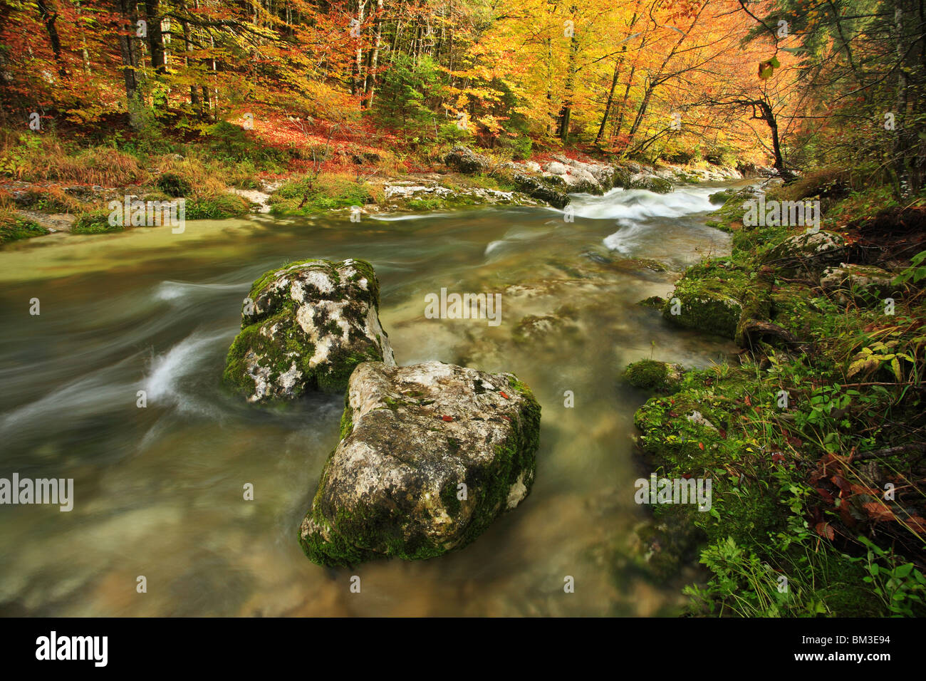 The river running through majestic Mostnica Gorge near Stara Fuzina, Gorenjska, Slovenia Stock Photo