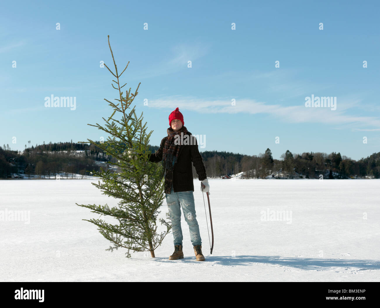 Christmas tree man saw hi-res stock photography and images - Alamy