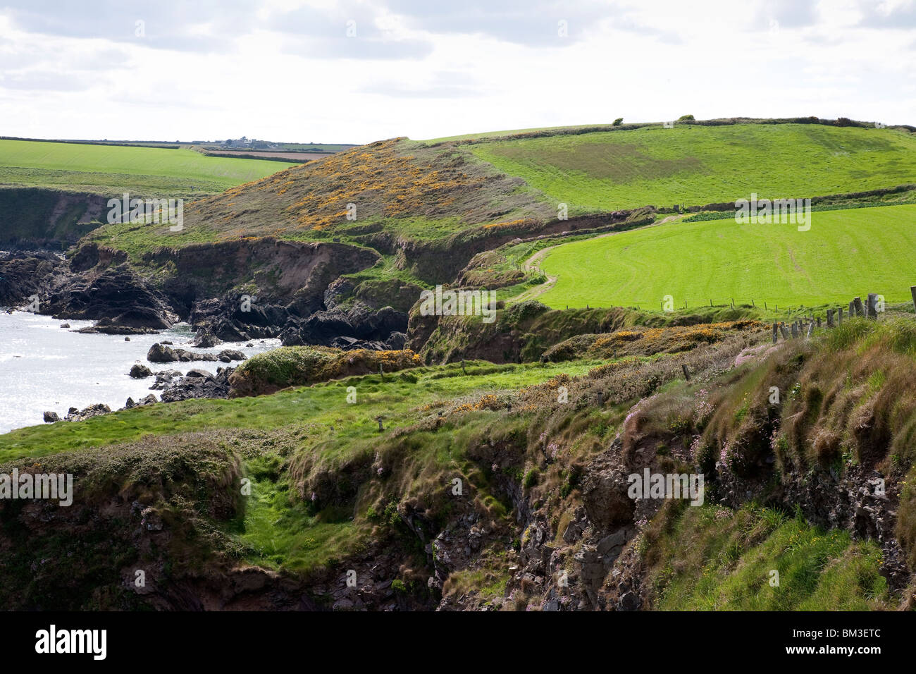 Cliff path at Ballycotton, County Cork Ireland Stock Photo