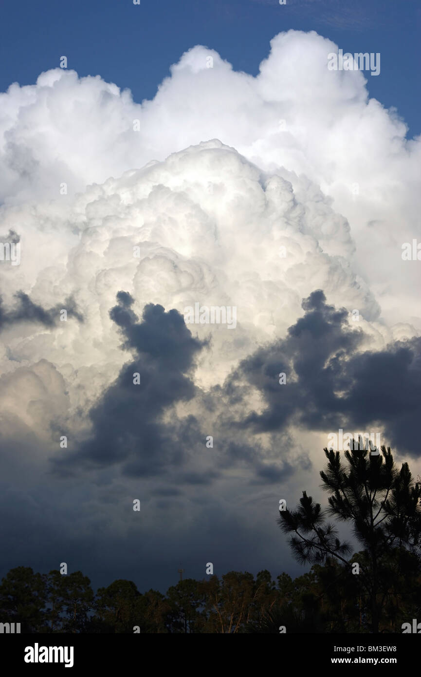 large cloud bank in the sky of florida Stock Photo Alamy