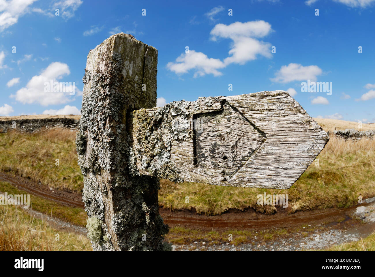 Welsh Signpost Weathered footpath signpost on Welsh Moorland in North Wales Stock ...