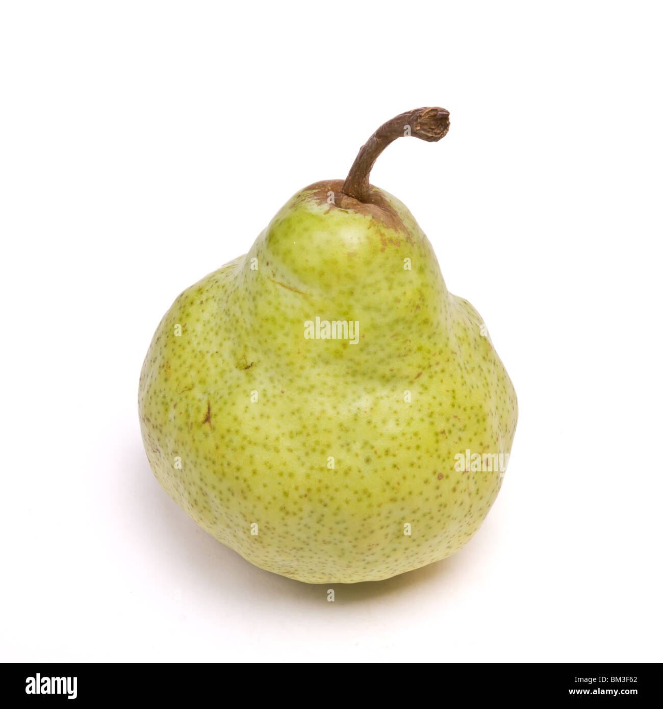 Packham Pear from low perspective isolated against white background. Stock Photo