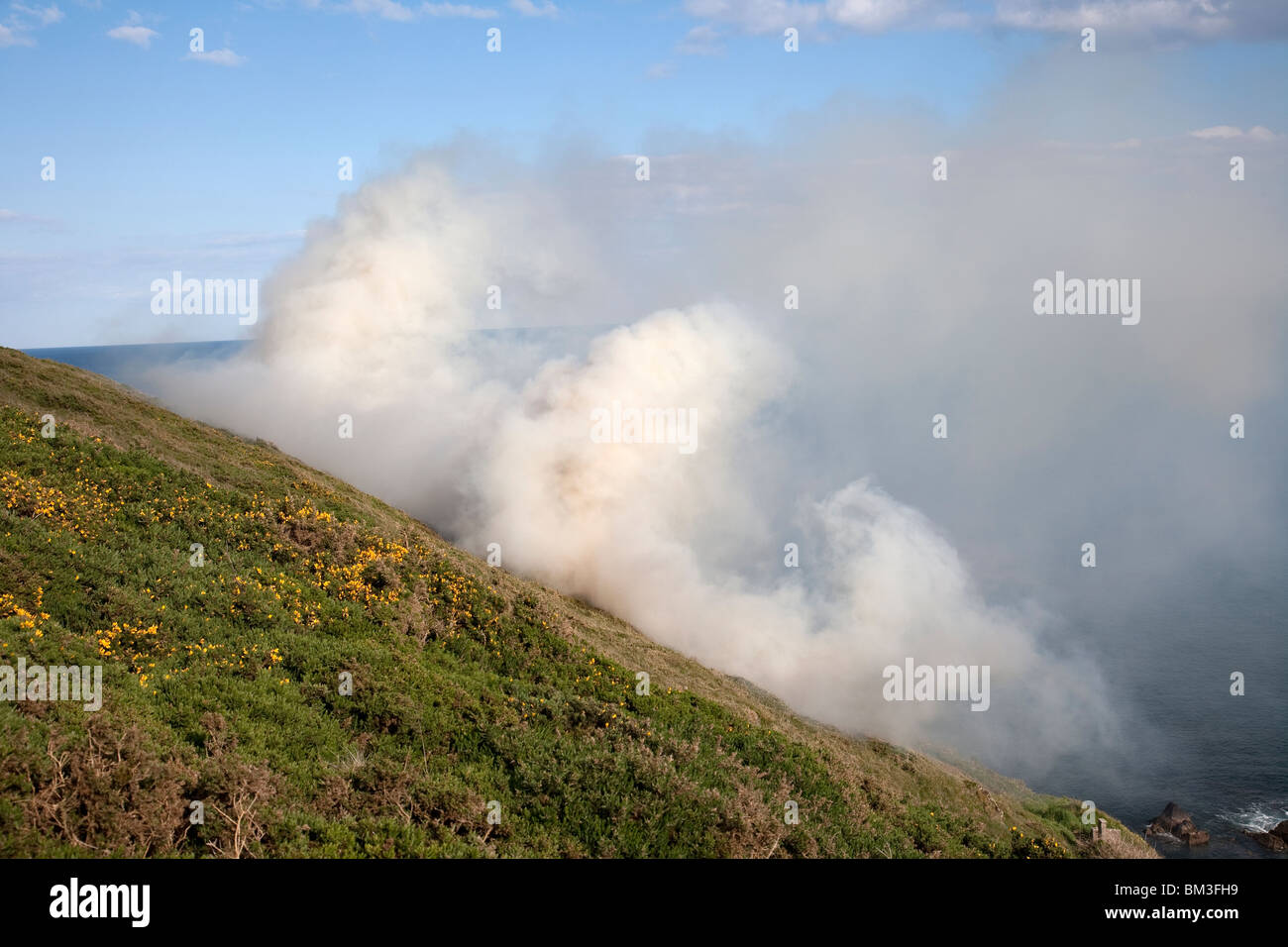Small brush fire, Ireland Stock Photo