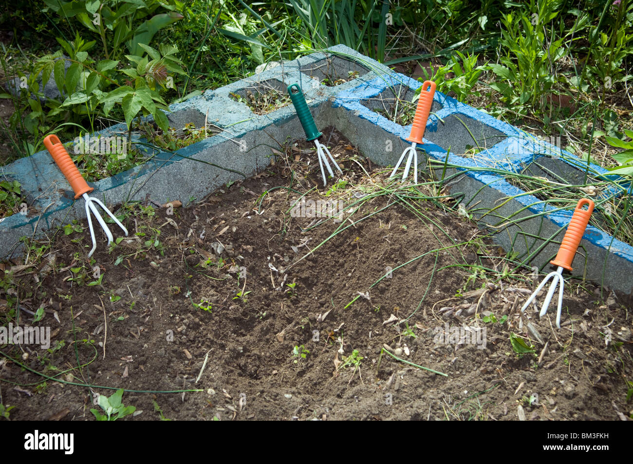 Cultivator tools in the garden Stock Photo Alamy