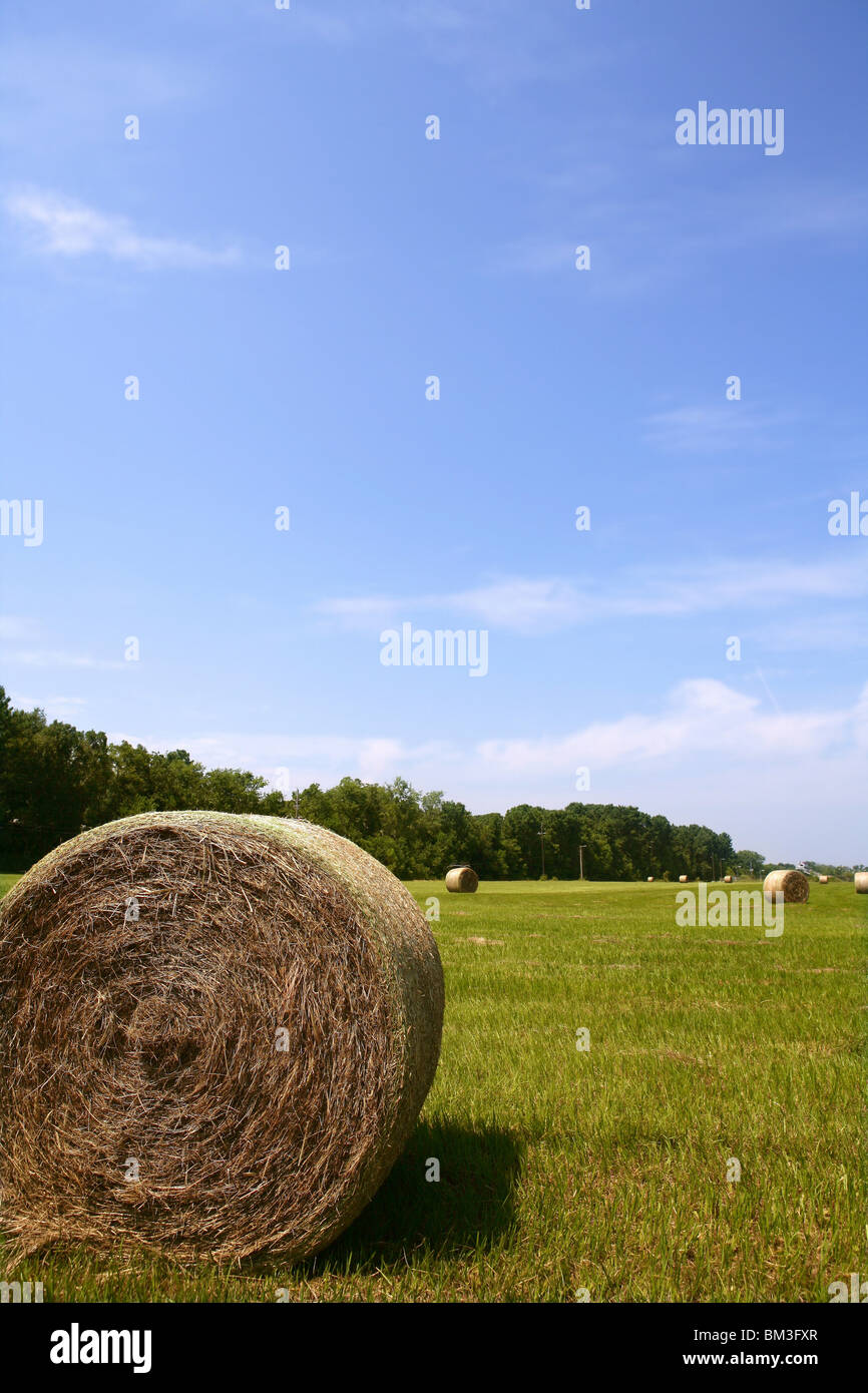 Golden Straw Hay Bales in american countryside on sunny day Stock Photo ...