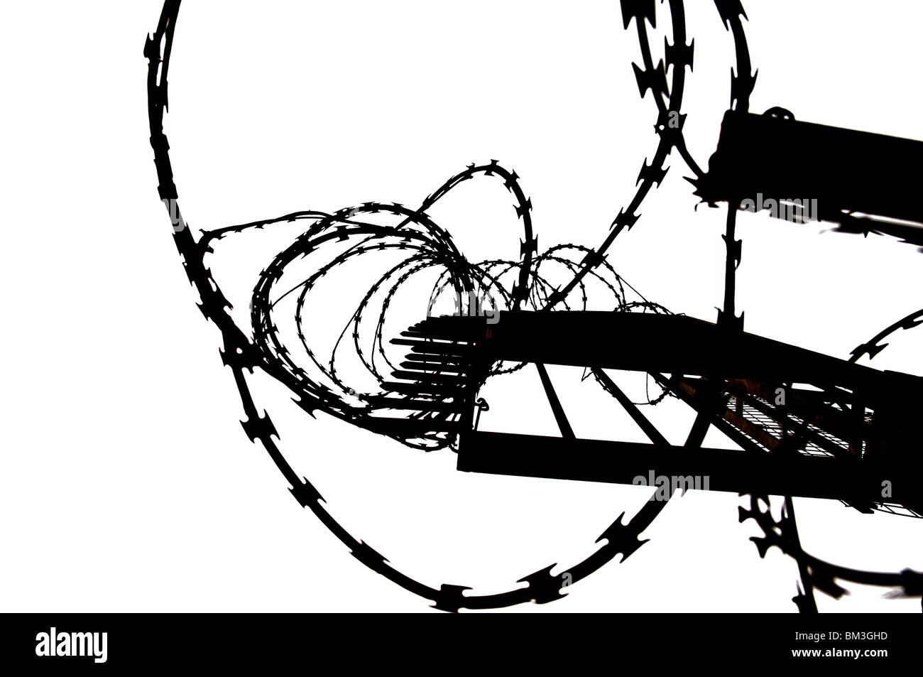 Razor wire on security fence against white background Stock Photo