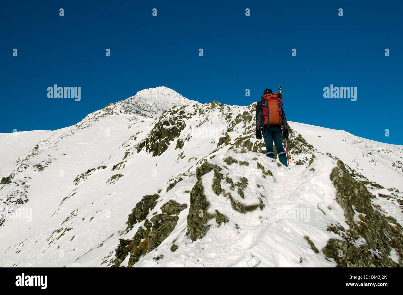 A climber on the Hall's Fell ridge of Blencathra mountain in winter, Lake District, Cumbria, England, UK Stock Photo