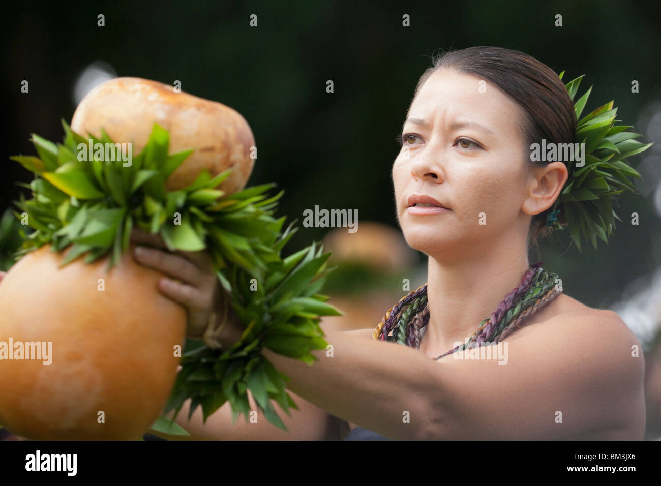 Traditional Hawaiian Hula Kahiko Performed With Ipu Drum On Hawaii