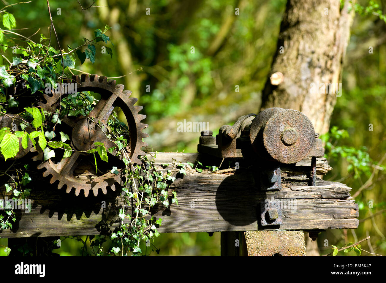 Old rusty and pitted Victorian gears and pulleys mounted on a decaying
