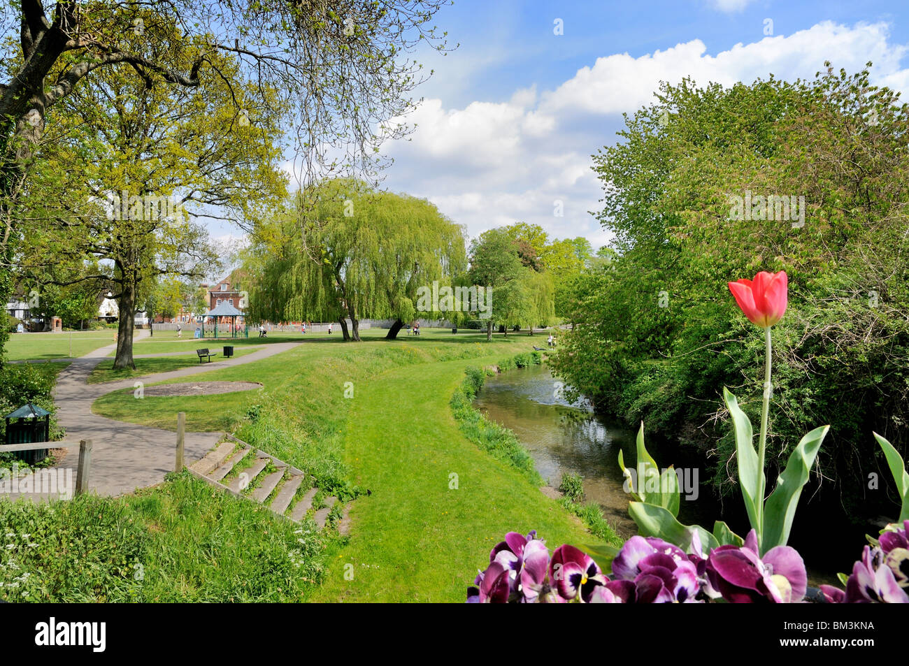 Farnham town centre and park , Surrey England UK Stock Photo Alamy