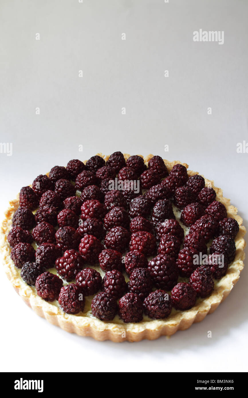 Blackberry tart Stock Photo