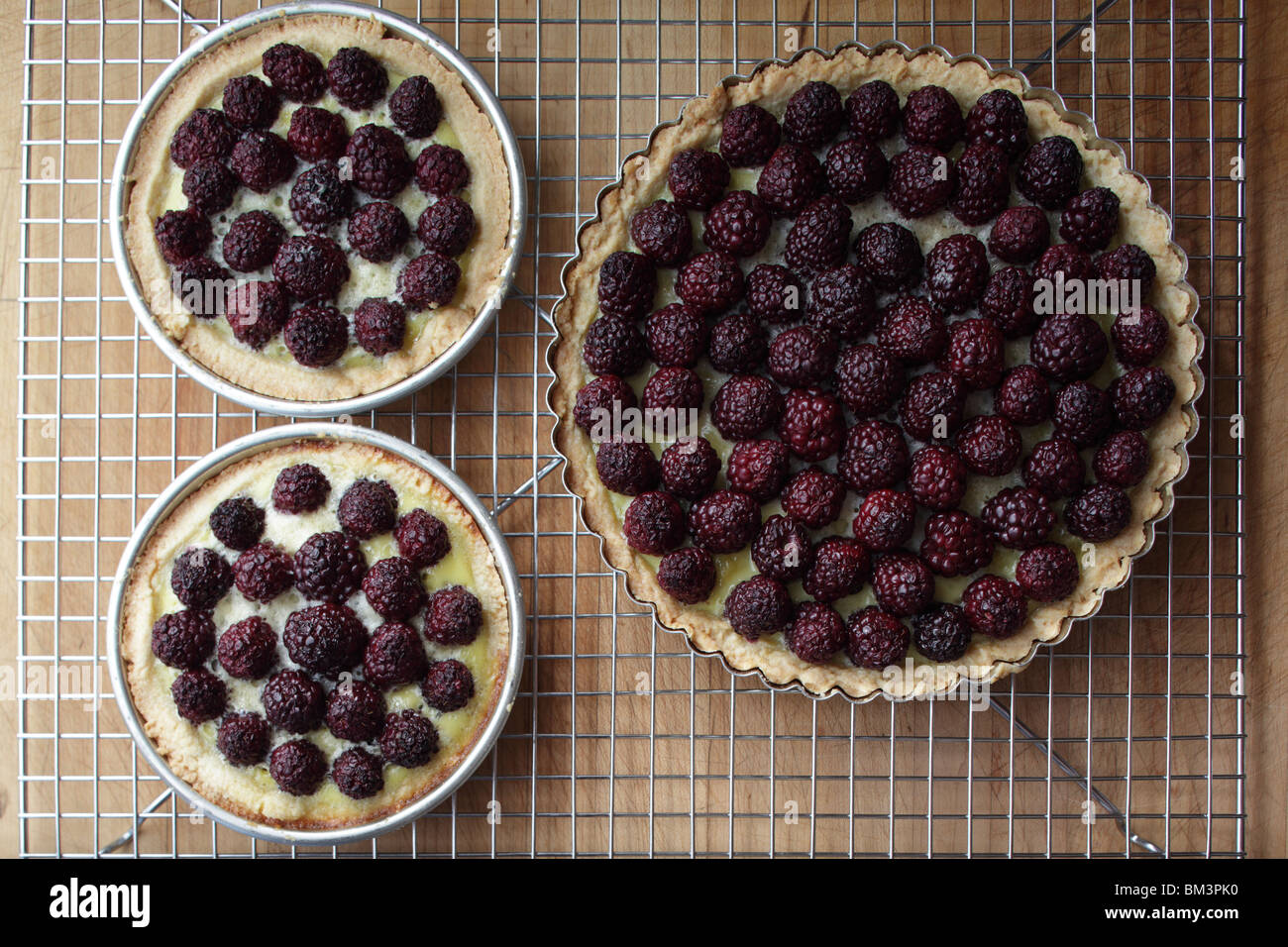 Blackberry tart Stock Photo