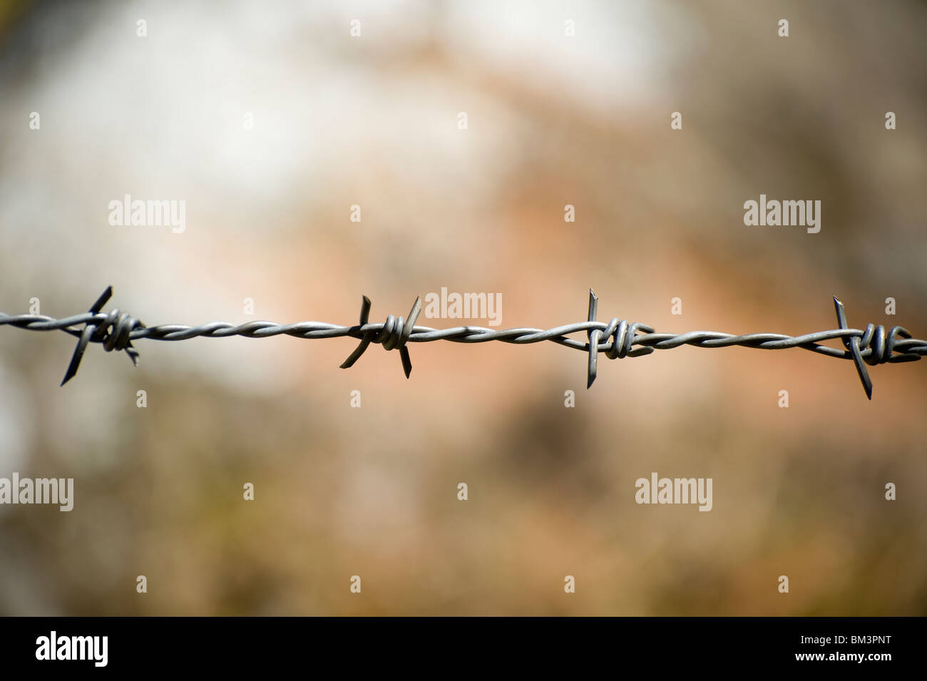 barbed wire with blurred background landscape Stock Photo - Alamy