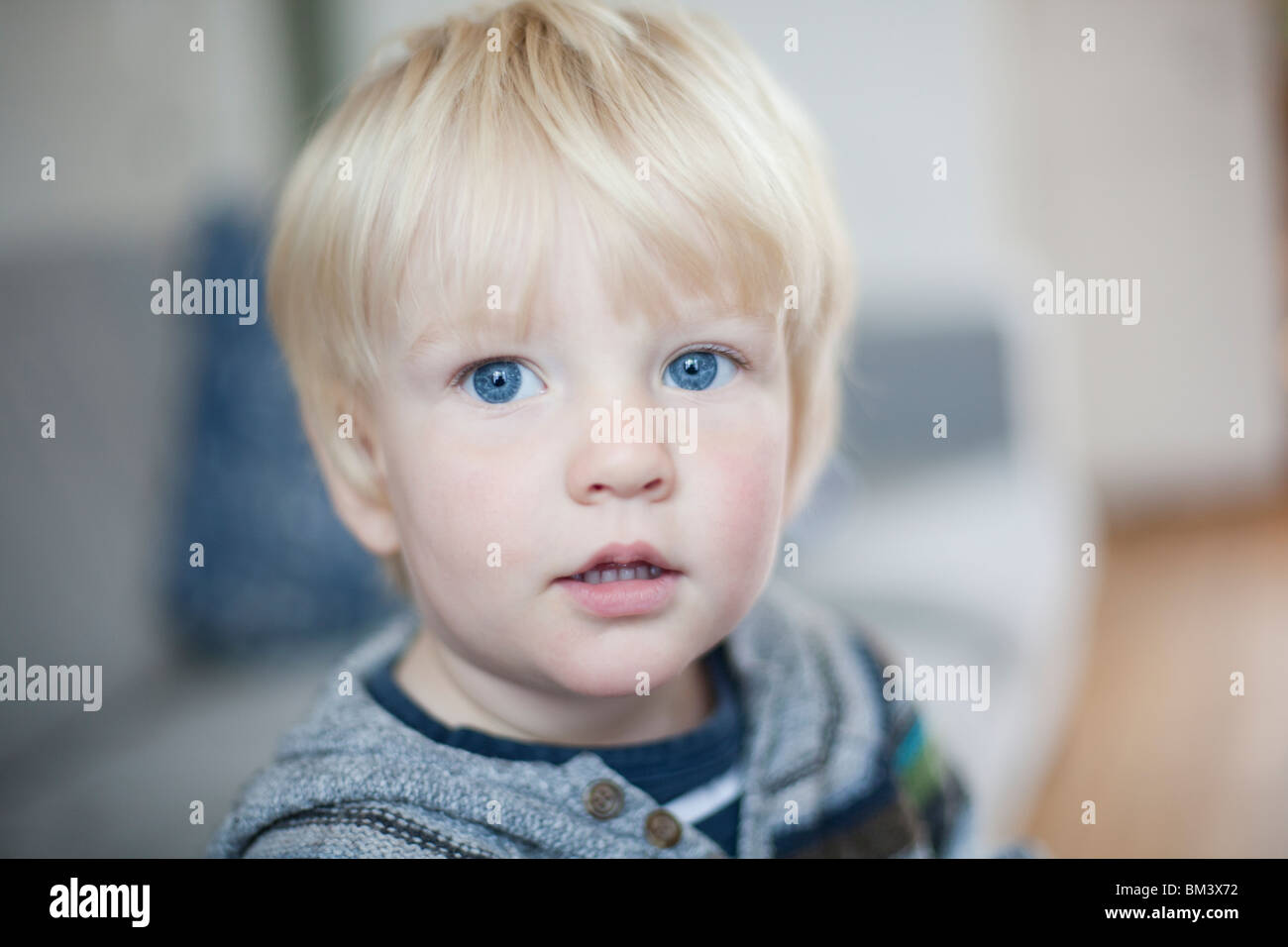 Portrait of a 2 year old boy Stock Photo